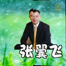 张翼飞